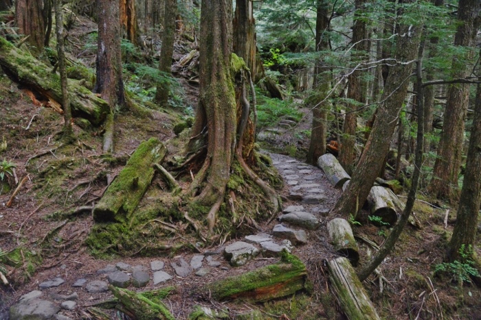 Rainbird Trail